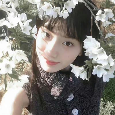 山花绽放时2024