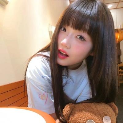 布里斯比熊